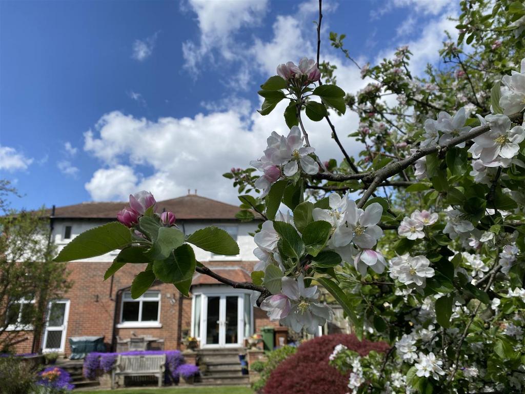10 GARDEN 0257.jpg
