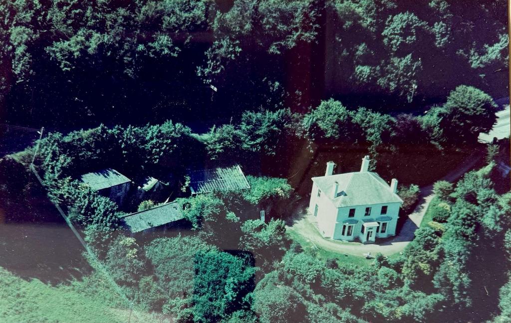 1968