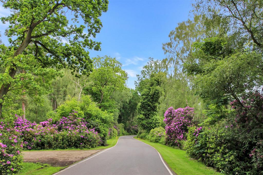Nettleton Big Wood Drive.JPG