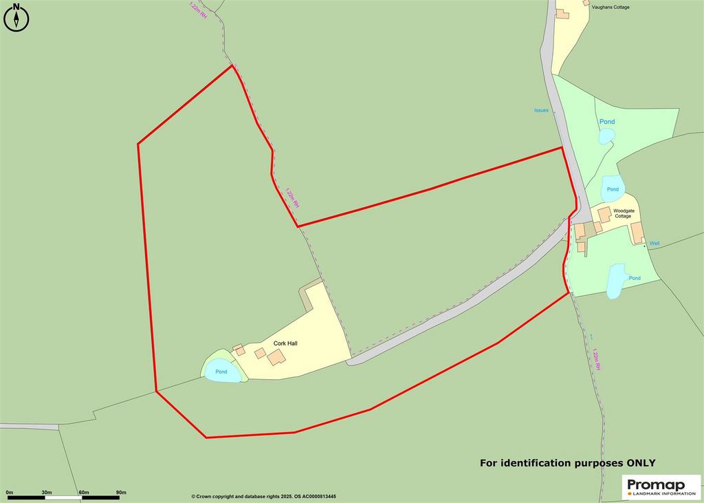 Cork Hall Plan v2.jpg