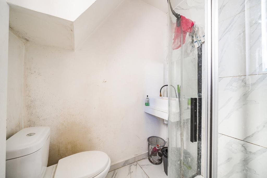 Ground Floor Shower