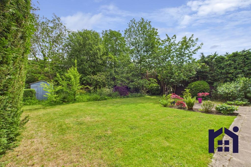 Back Garden