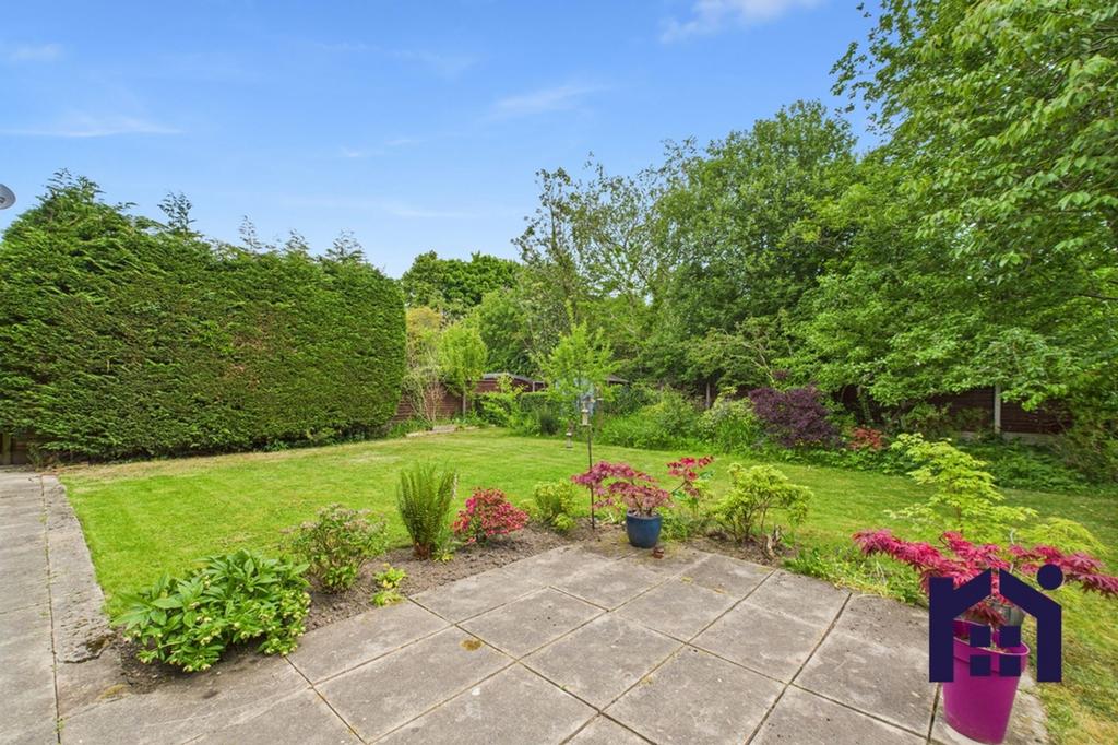 Back Garden