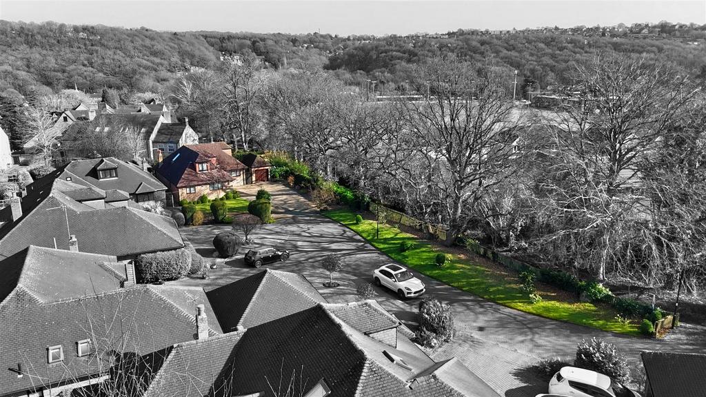 DJI 20250326145040 0529 D.jpg