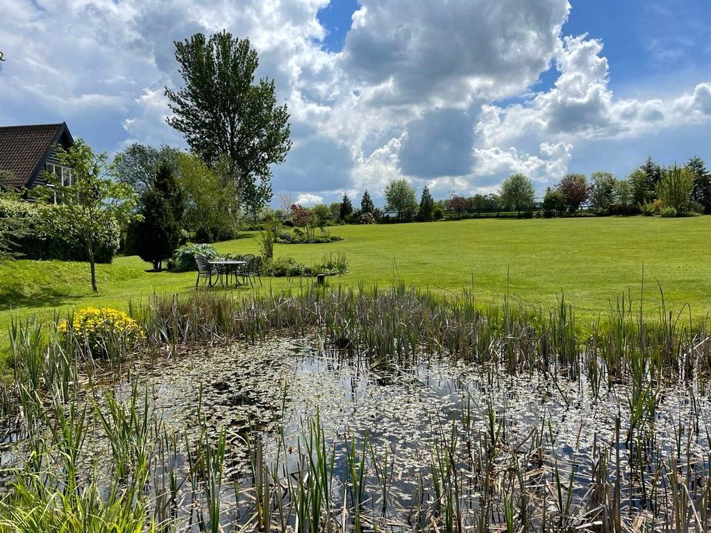 Pond
