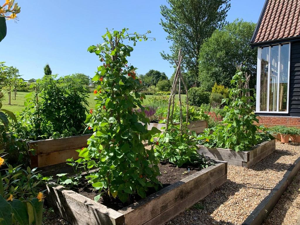 Raised Beds