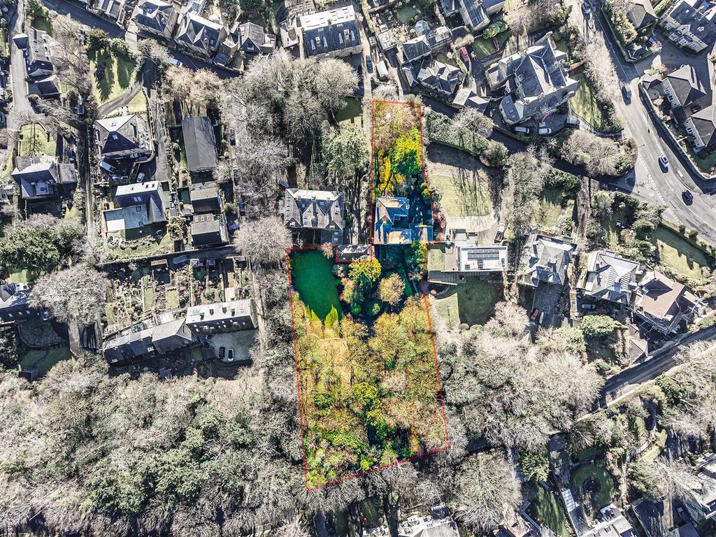 Aerial overview of plot