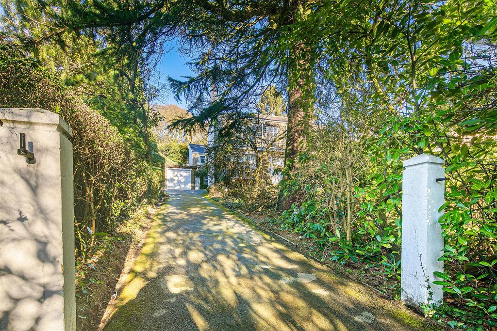 Driveway