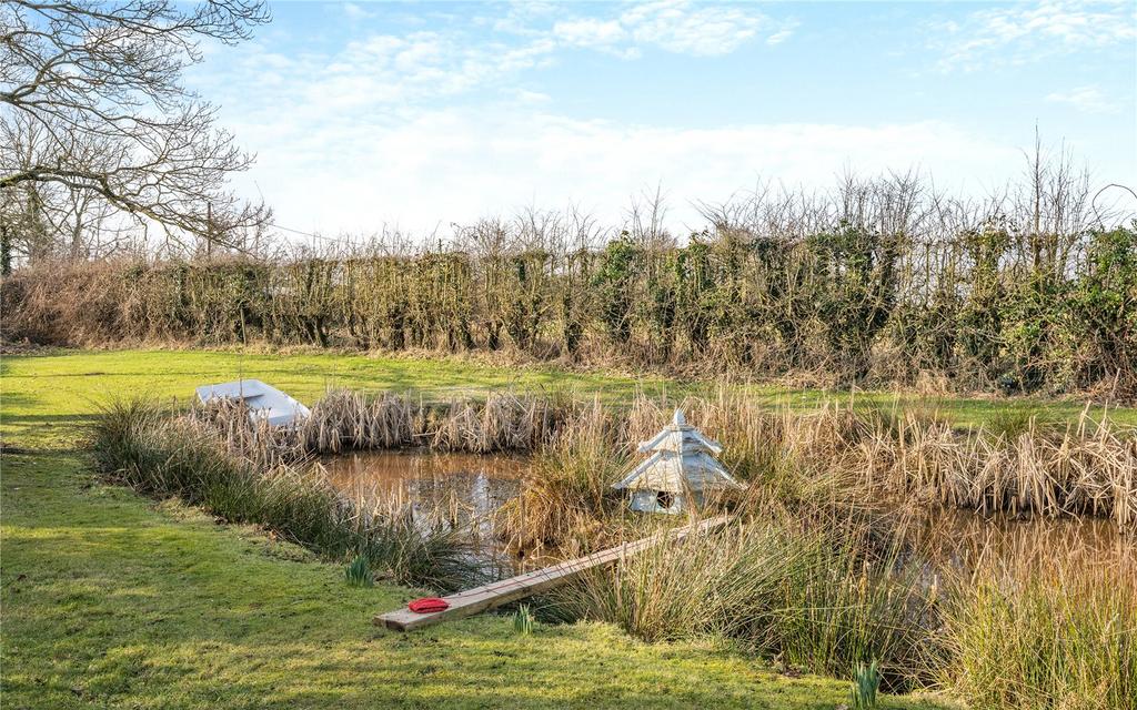 Pond