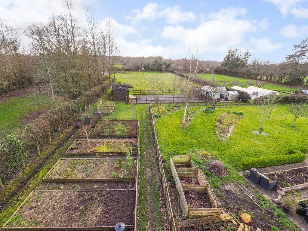 Vegetable Garden