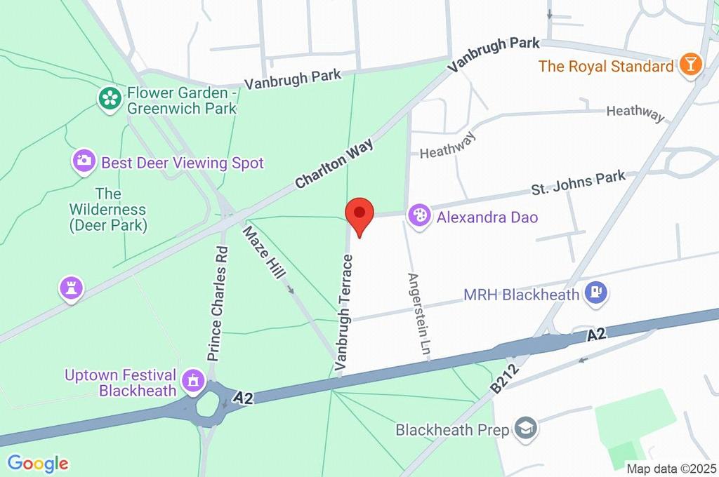 Google Maps Image