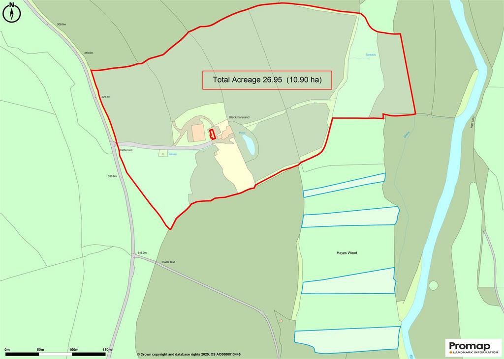Promap-3081993-3180136-750-0.jpg
