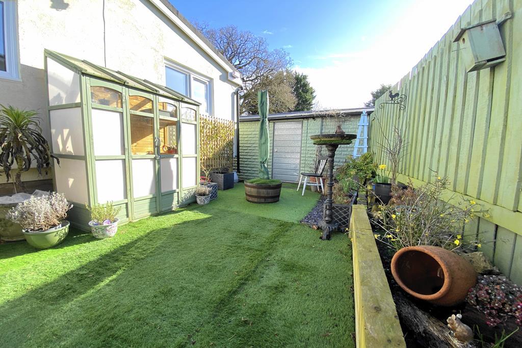 Sunny garden