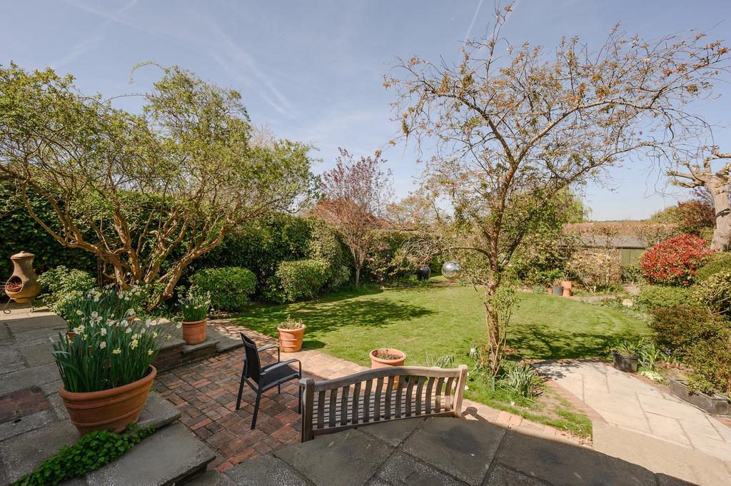 Patio &amp; Lawn Areas