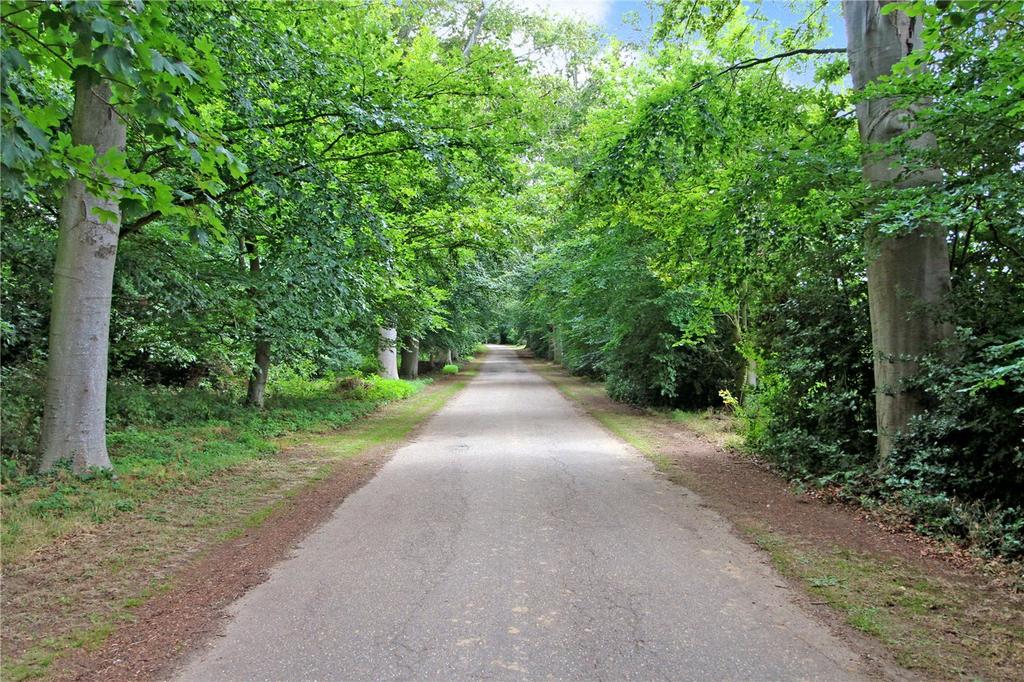 Private Driveway