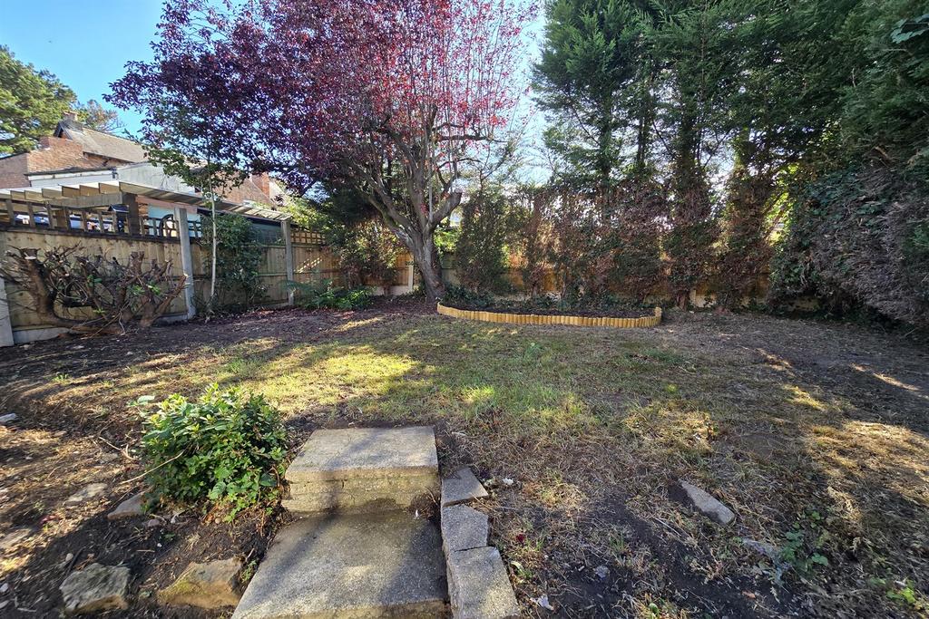 Back Garden