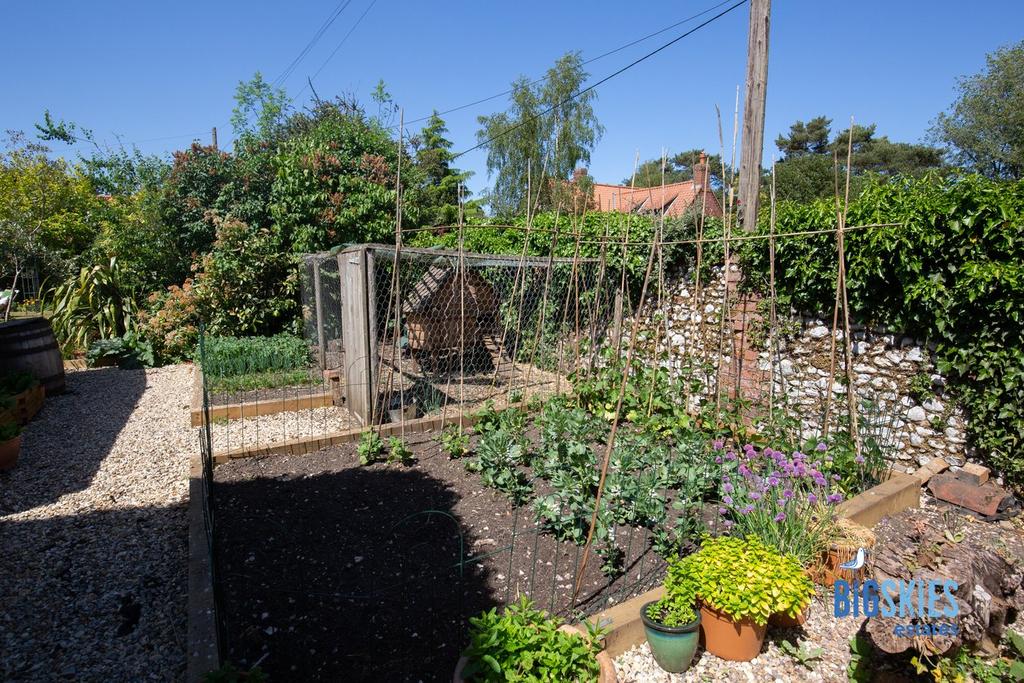 Summer Garden