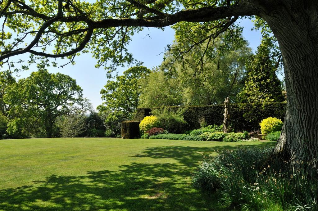 Grounds