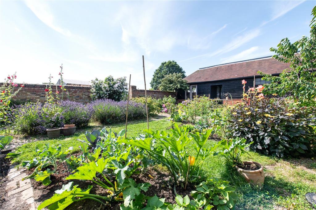Vegetable Garden