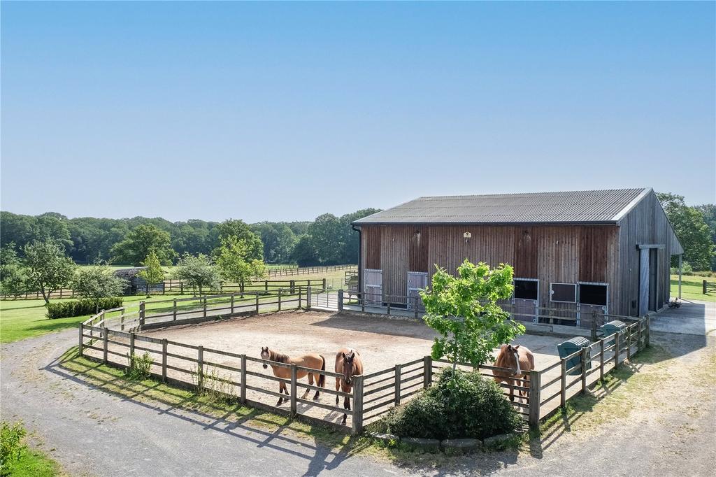Equestrian