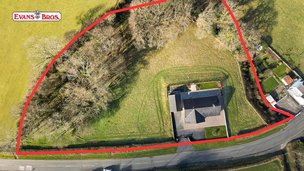 Untitled design (1).png