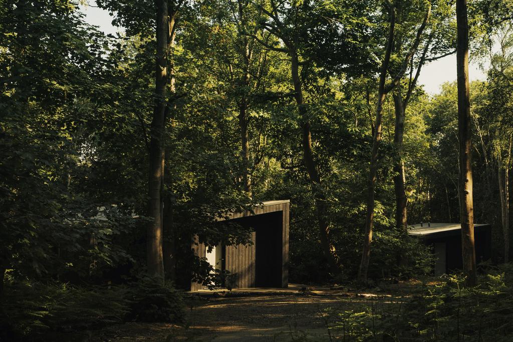 249935 - Copy of Koto Hillwood 03.jpg