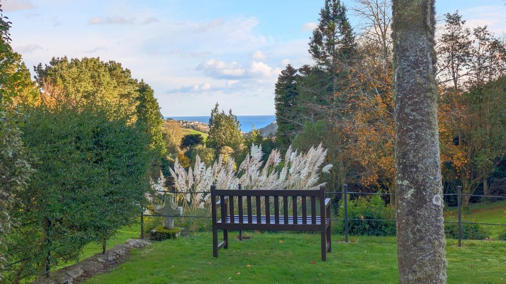 Bench and view