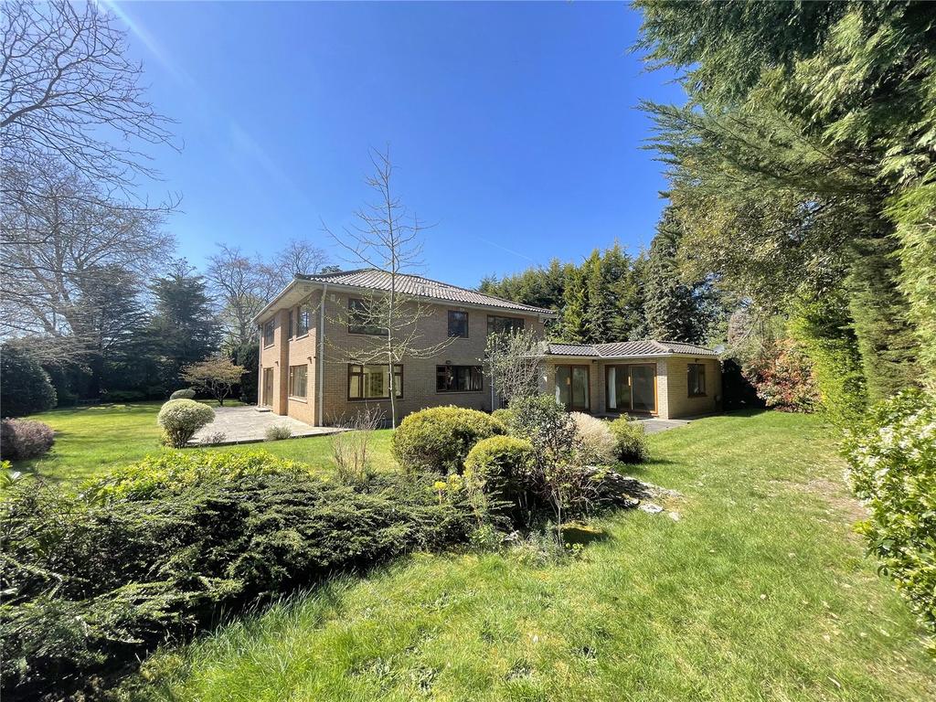 Rear of Property