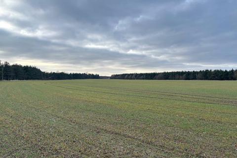 Land for sale, Burgham, Morpeth, Northumberland, NE65