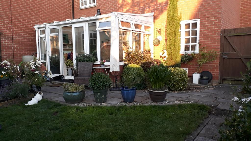 New Rear House