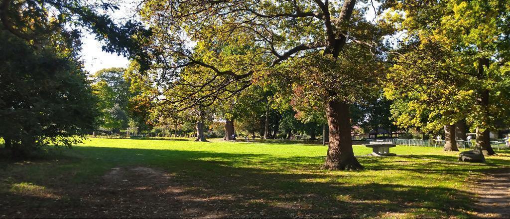 Haling Park Grove (10 min walk)