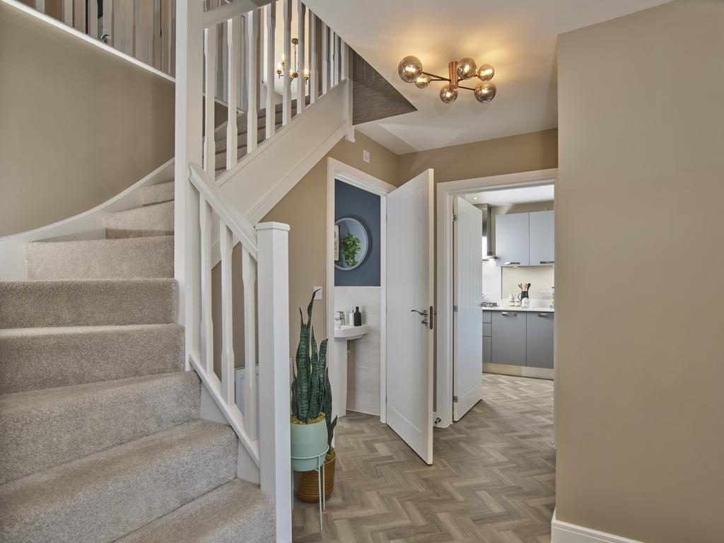 Showhome Photography