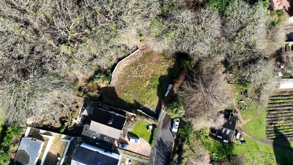 Sequence 01.00 00 32 07.Still009.jpg