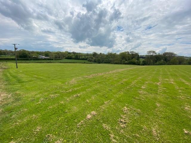 Extended Garden/The Land