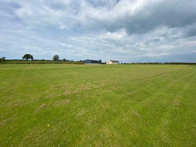 Extended Garden/The Land