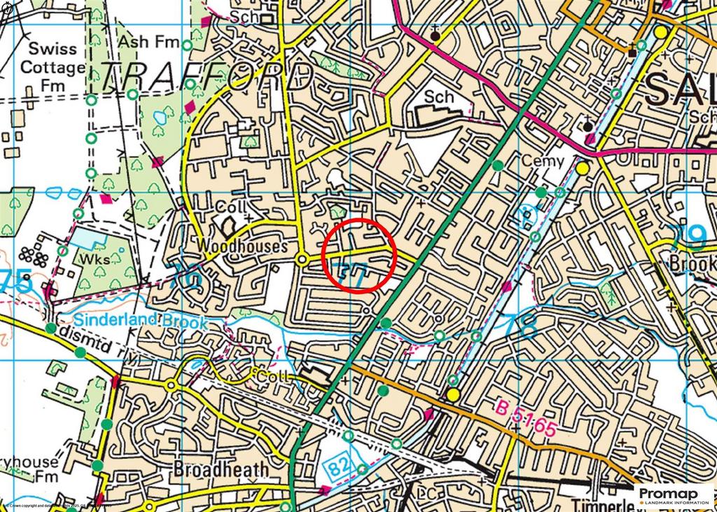 Town Plan