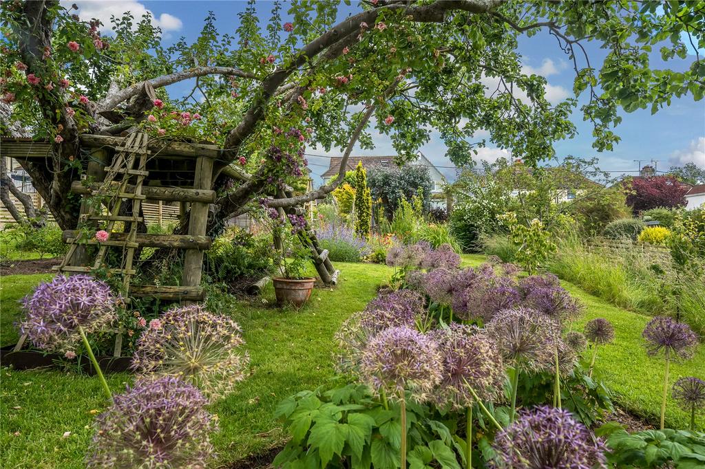 Picture No. 40