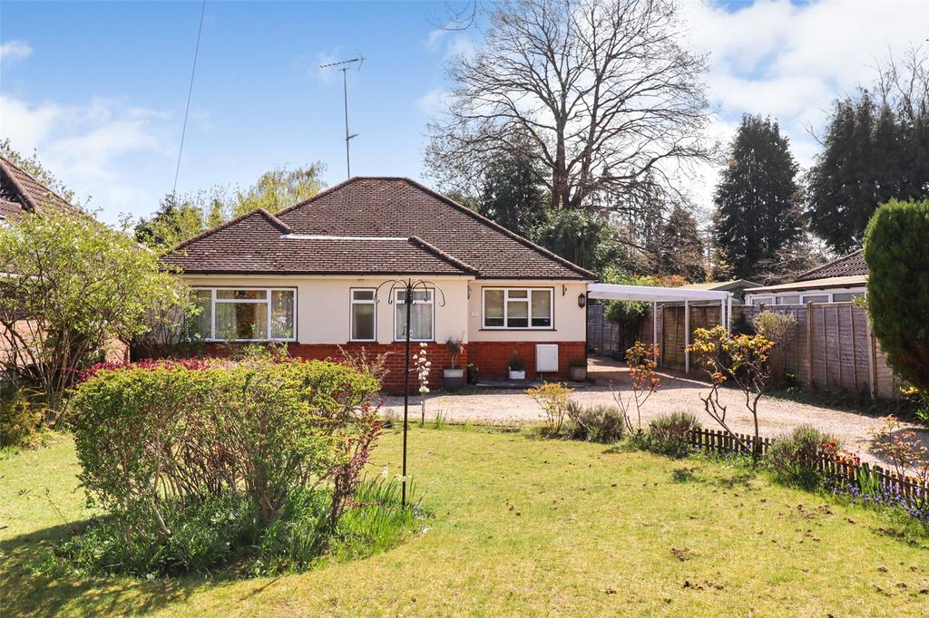 The Property