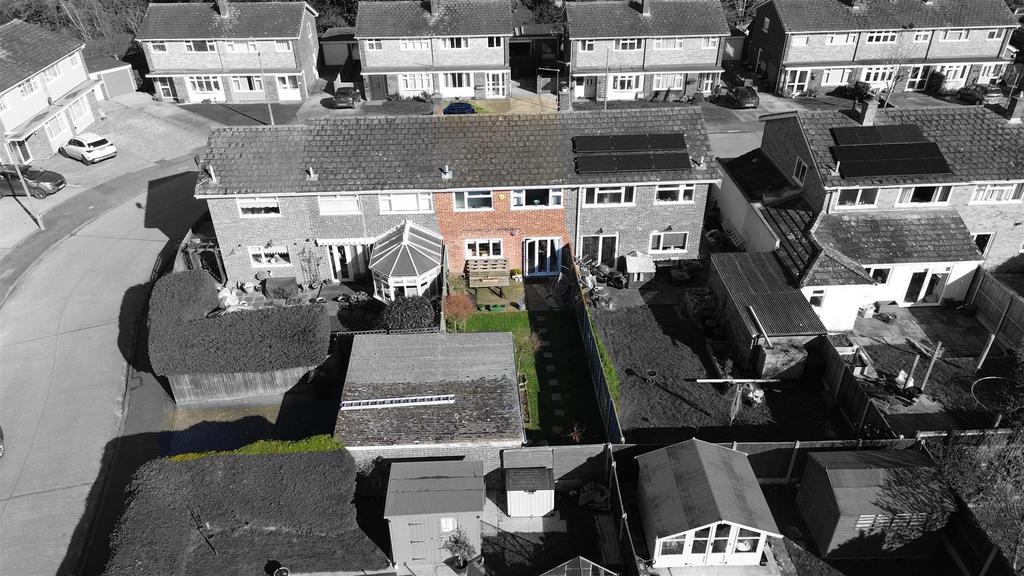 Rear Garden colourpop.JPG