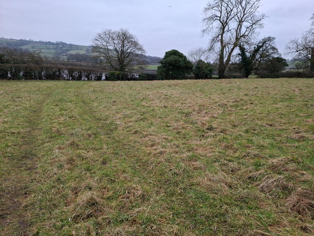 Lot 1