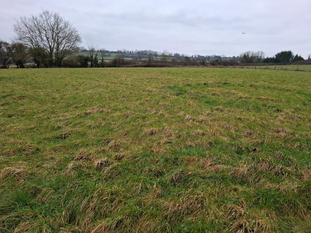 Lot 1