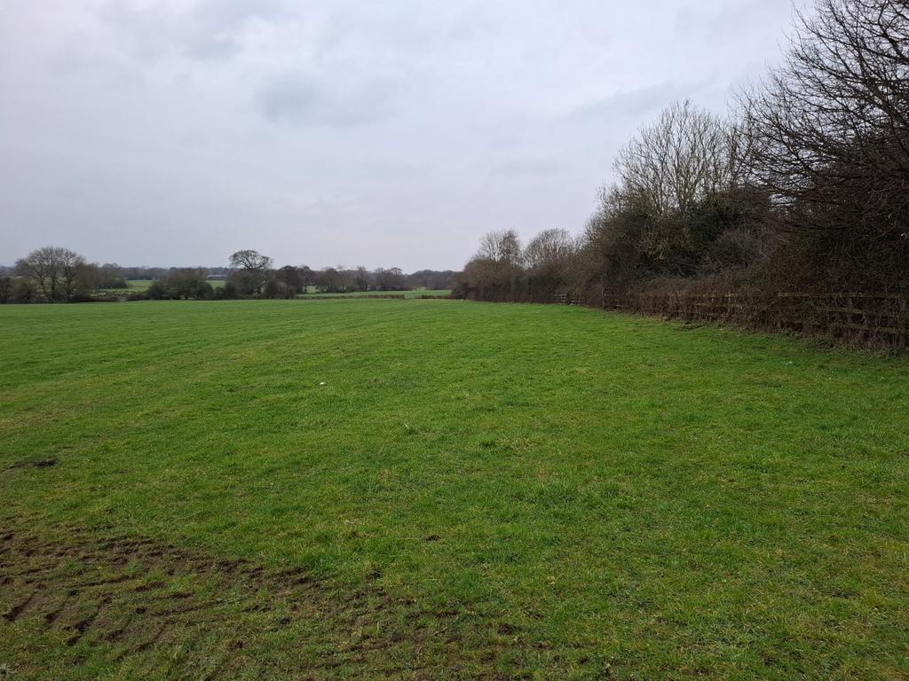 Lot 4