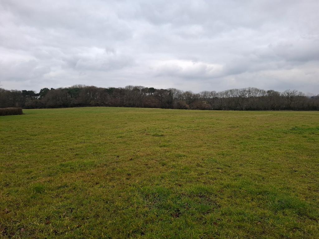 Lot 7