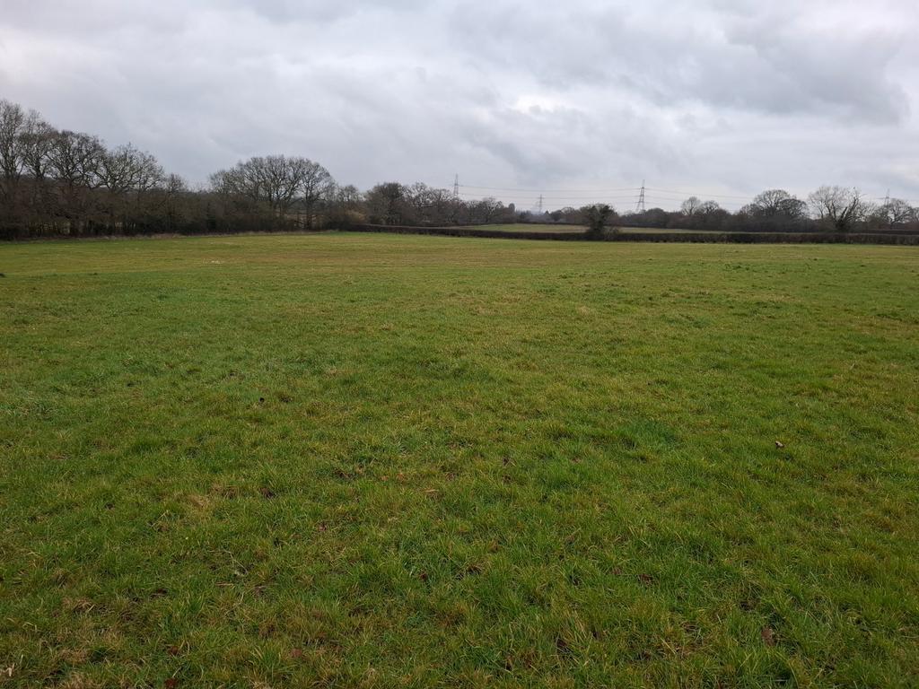 Lot 7