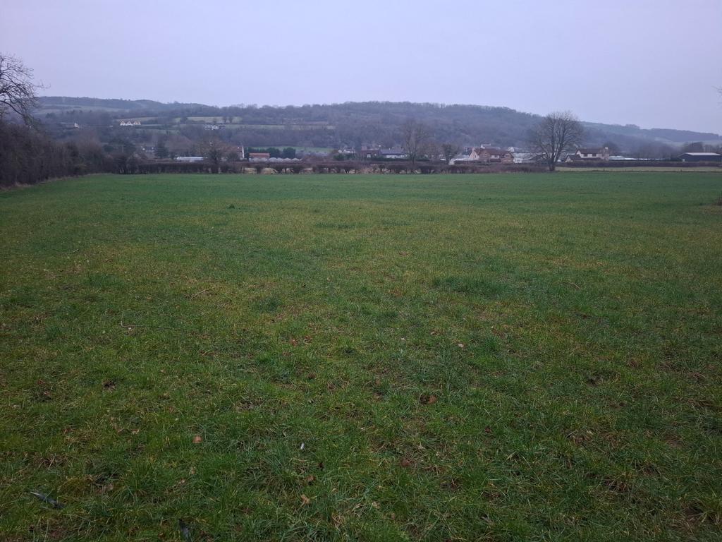 Lot 8