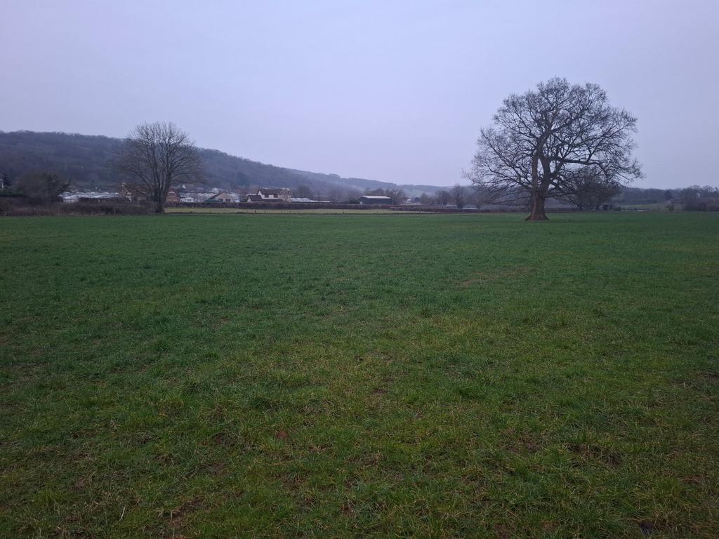 Lot 8