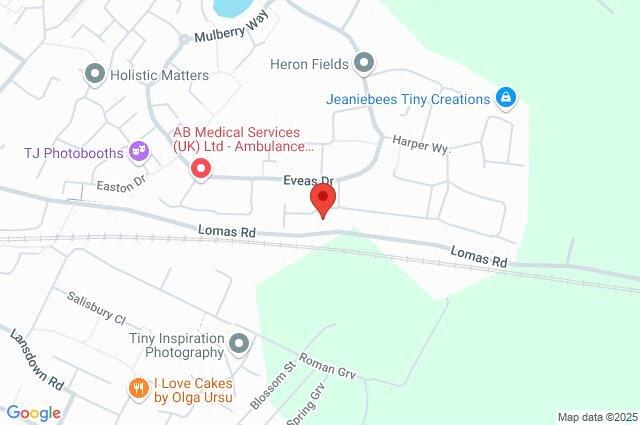 Google Maps Image