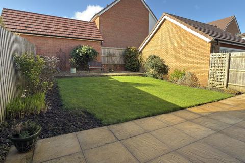 undefined, Primrose Drive, Newton Abbot, TQ12