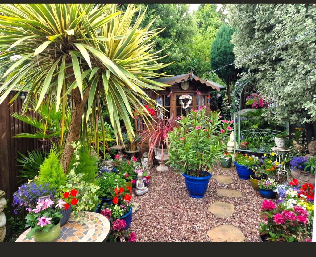 OWNER GARDEN.jpg