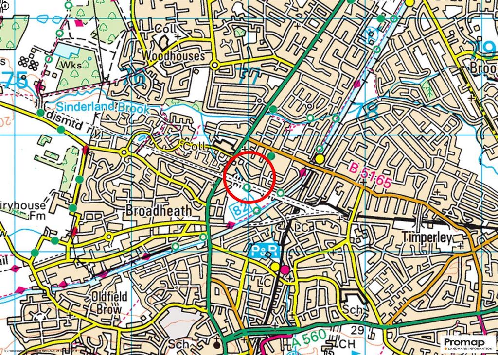 Town Plan